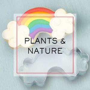 Plants and Nature