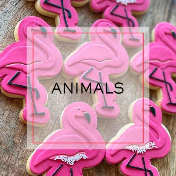 Cookie Embossing Stamps, Cookie Decorating Equipment and Supplies