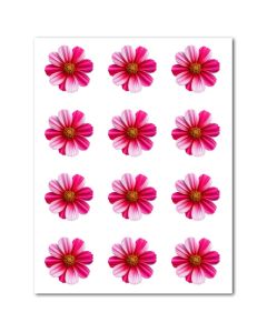 Icing Sheets Hot Pink Cosmos
