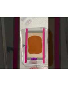 Love Bug Twix Bars Treat Kit