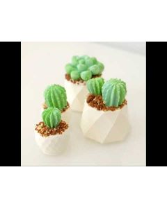 3D Mold Cushion Cactus Teensy