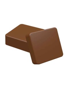 Chocolate Covered S'Mores Mold Standard