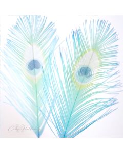 Peacock Feather Stencil Set by Cake Halliday