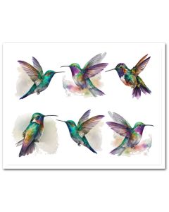 Icing Sheet Watercolor Hummingbirds