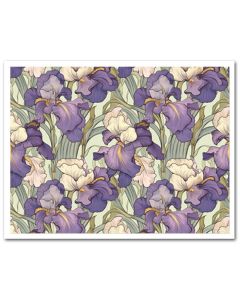 Icing Sheet Irises