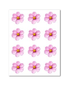 Icing Sheets Pink Cosmos