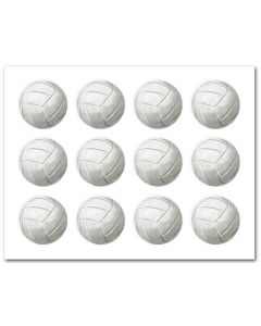 Icing Sheets Volleyball Cookie