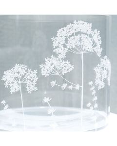 Queen Anne's Lace Mesh Stencil