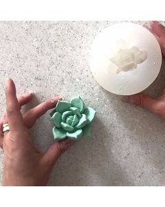 3D Succulent Mold Large