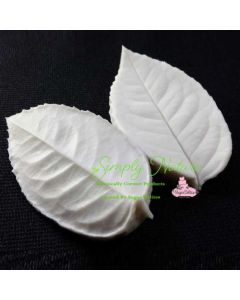 Veiner Rose Leaf