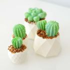 3D Cactus Mold Set of 3