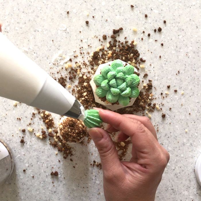 3D Cactus Mold Set of 3 - Evil Cake Genius