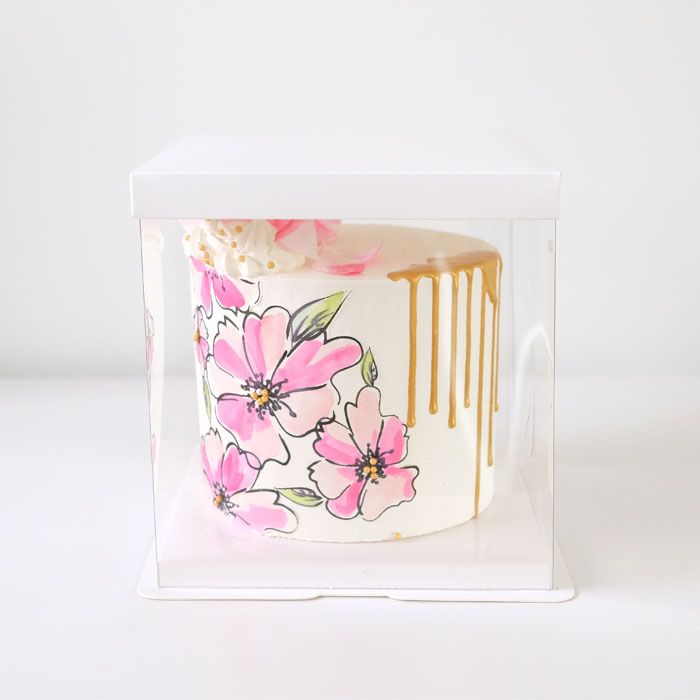 Crystal Clear Cake Box 8-1/2 Inch - Evil Cake Genius