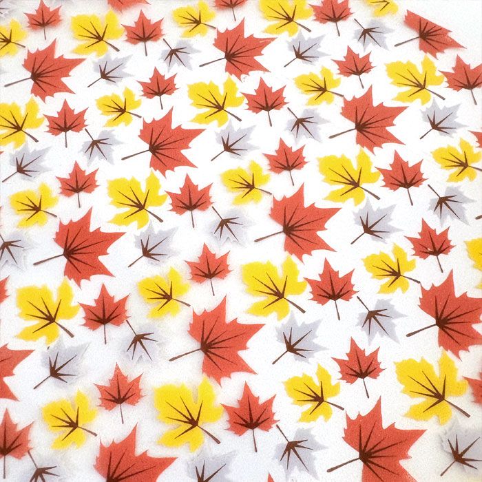 Chocolate Transfer Maple Leaves