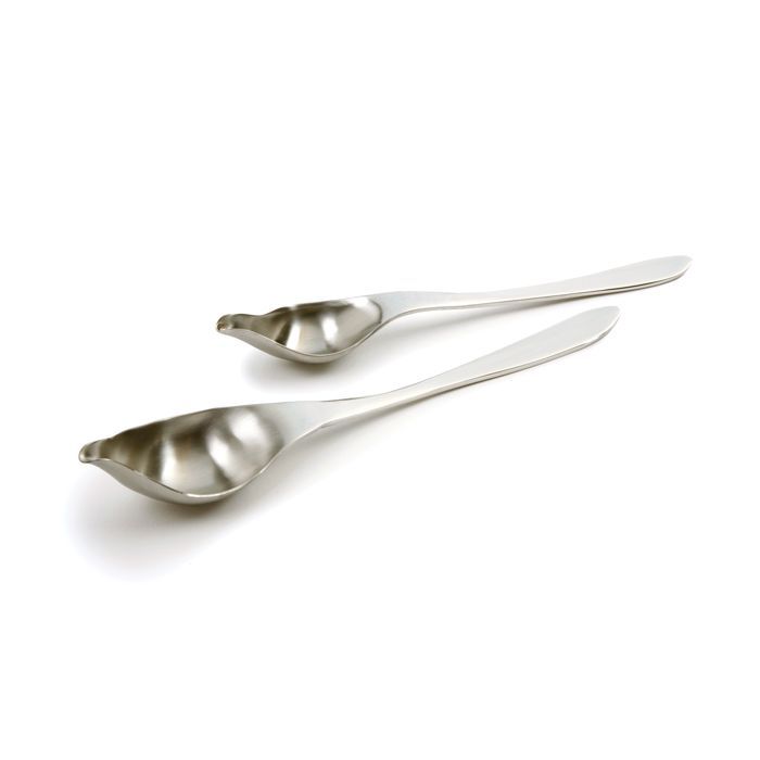 Drizzle Spoons Set of 2