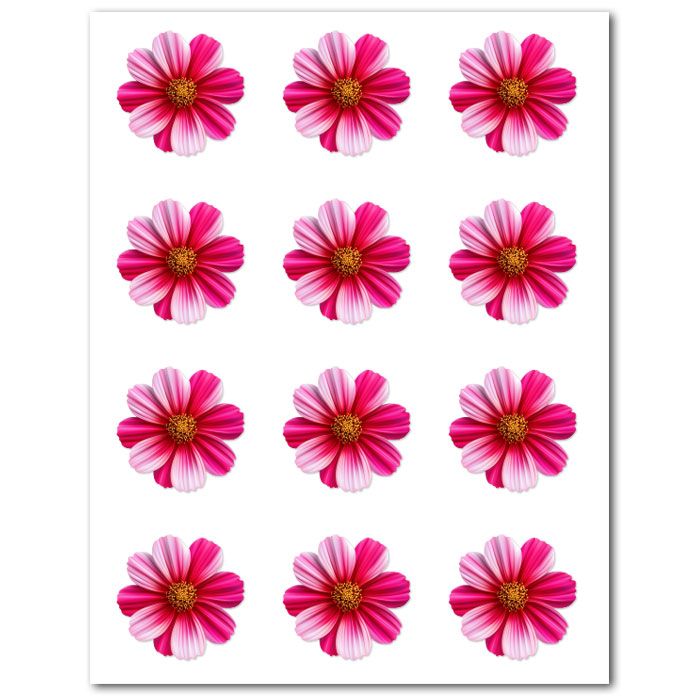 Icing Sheets Hot Pink Cosmos