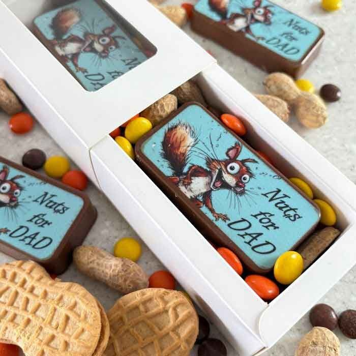 French Macaron Window Boxes Set of 10