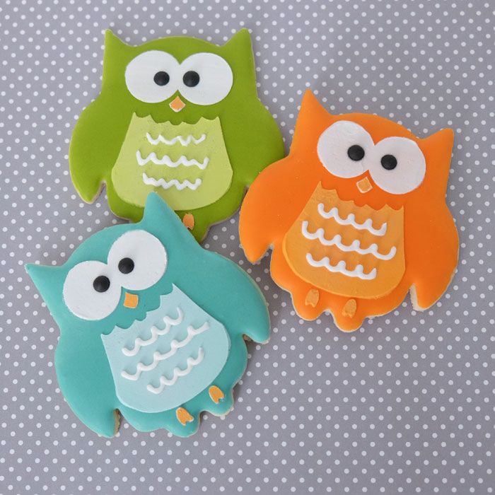 Cutie Owl Cookie Set