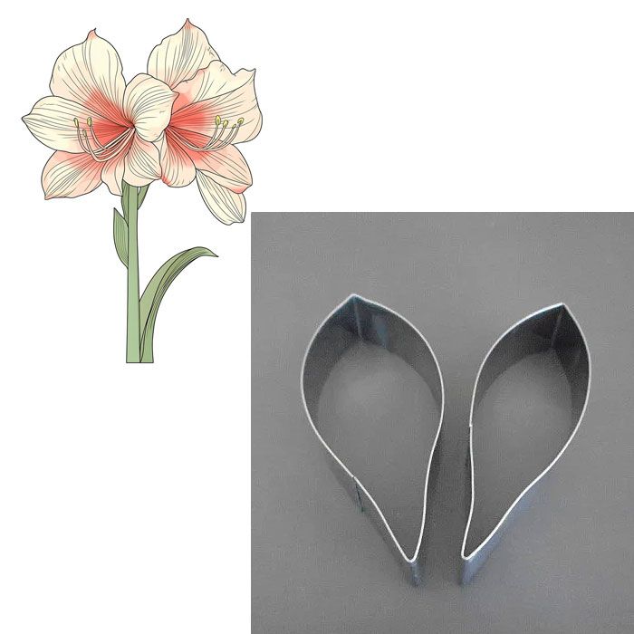 Cutter Set AmaryllIs Petals