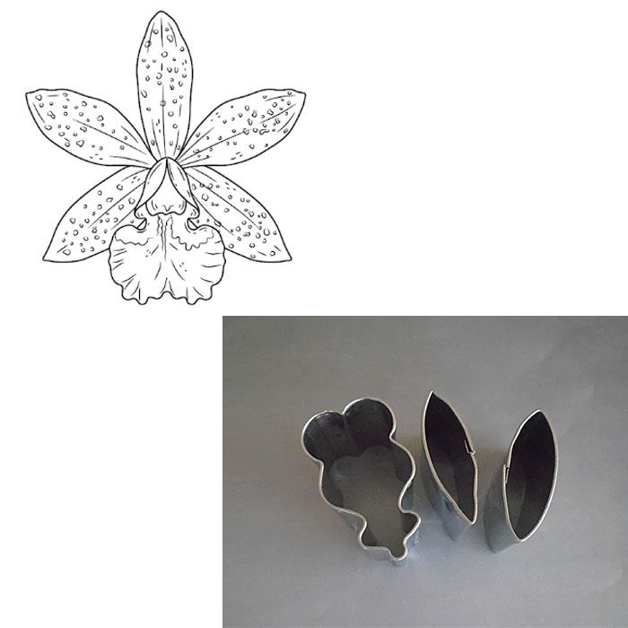 Cutter Set 5 Petal Orchid