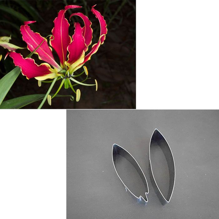 Cutter Set Gloriosa Lily