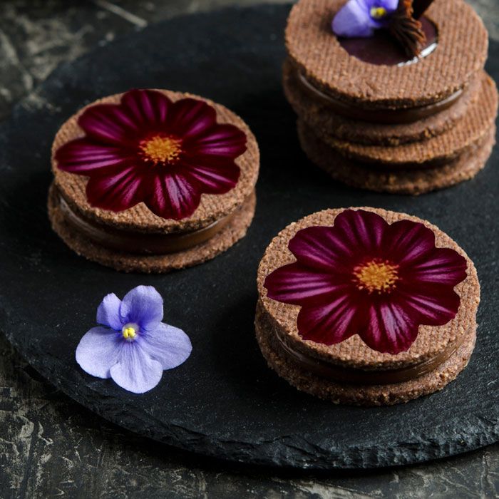 Icing Sheets Burgundy Cosmos