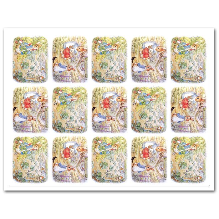 Icing Sheet Peter Rabbit Cookie