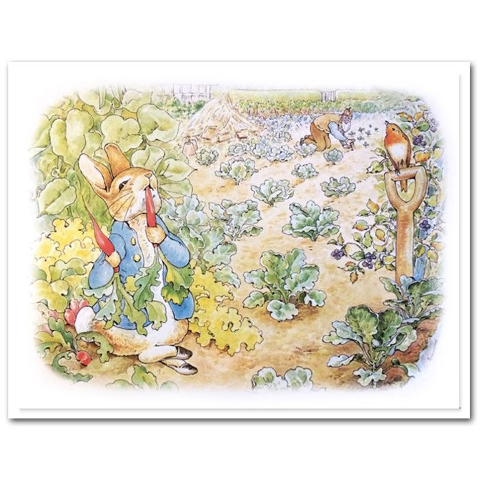 Icing Sheet Peter Rabbit Large