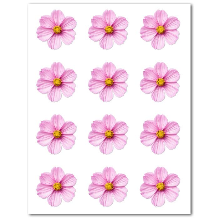 Icing Sheets Pink Cosmos