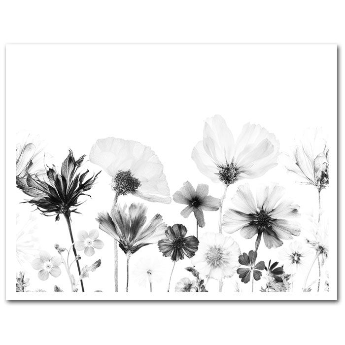 Icing Sheet Pressed Flowers Black & White