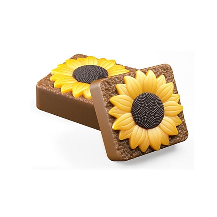 Chocolate Covered Treat Square Mold Sunflower