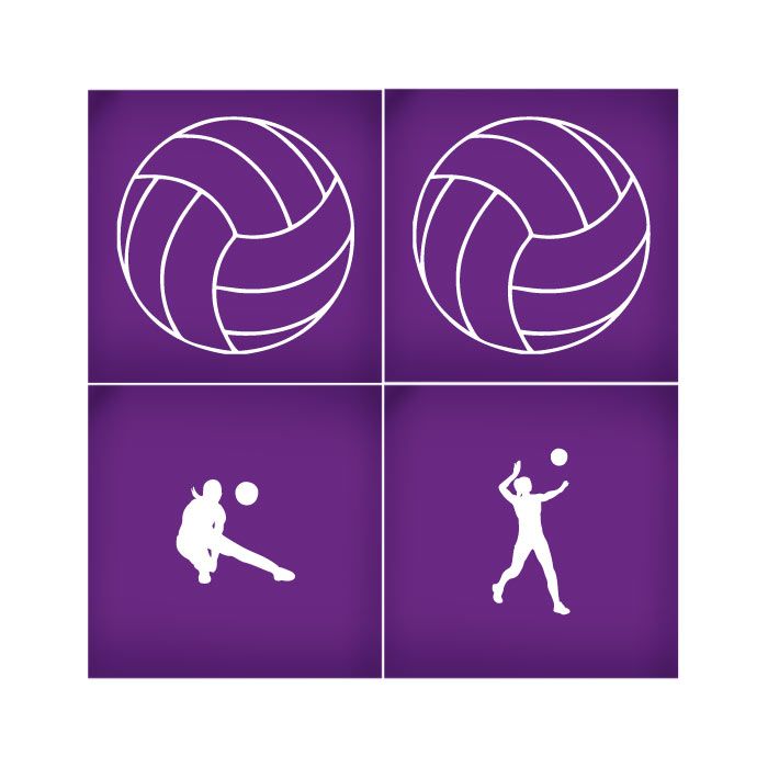 Volleyball Mesh Stencil Set