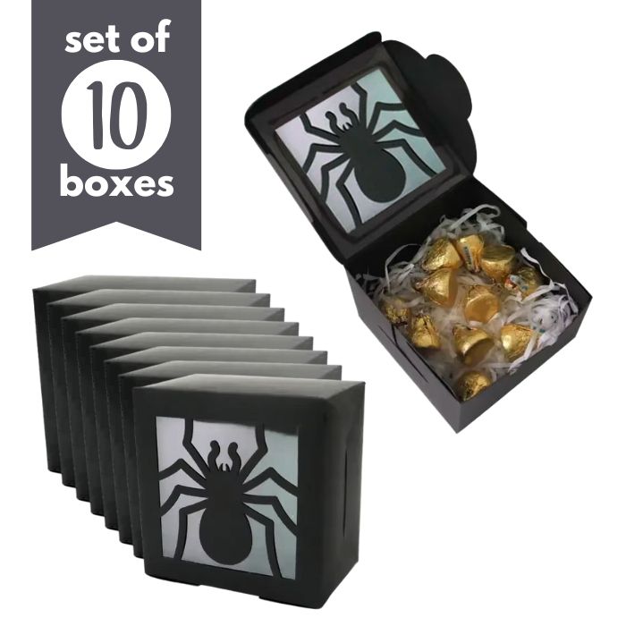 Window Treat Boxes Spiders