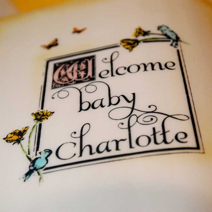 Welcome Baby Plaque and Medallion Mesh Stencil Set