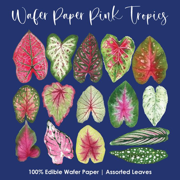 Wafer Paper Pink Tropical Leaves