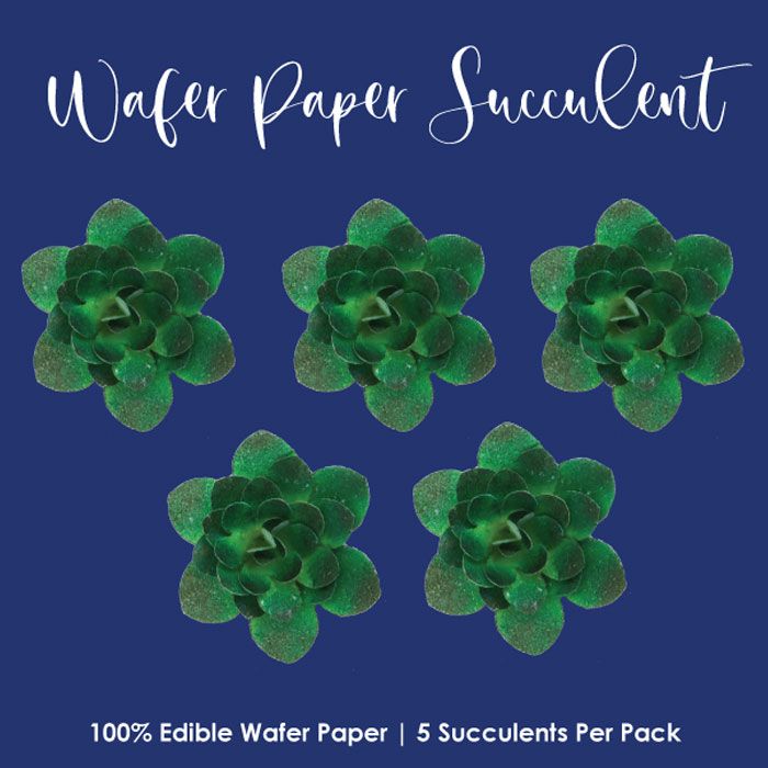 Wafer Paper Succulent Kit Emerald Isle