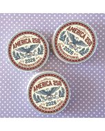 Icing Sheets America 250th Anniversary Cookie