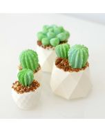 3D Cactus Mold Set of 3