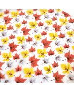 Chocolate Transfer Maple Leaves