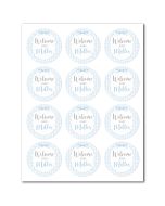 Customizable Icing Sheets Baby Shower Blue