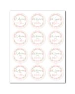 Customizable Icing Sheets Baby Shower Pink