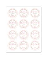 Customizable Icing Sheets Pink Birthday Gingham