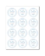 Customizable Icing Sheets Blue Birthday Gingham