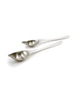 Drizzle Spoons Set of 2