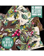 Chocolate Transfer Sheet Holly 