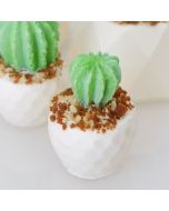 Itty Bitty Flower Pot Mold