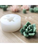 3D Succulent Mold Large