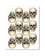 Icing Sheets Skulls Cookie/Nutter Butter