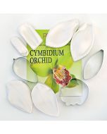 Cutter/Veiner Set Cymbidium Orchid