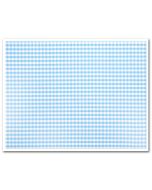 Edible Fabric Sheet Blue Gingham